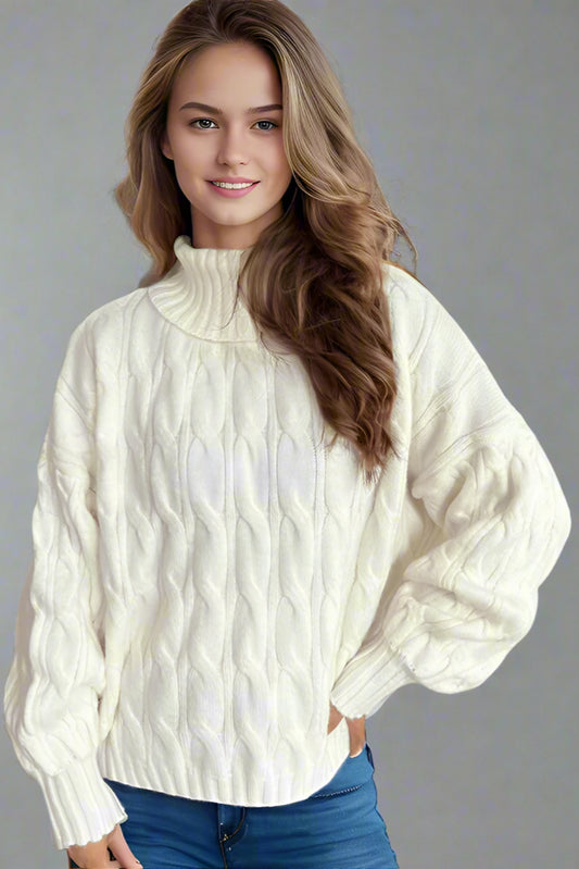 Women’s Turtleneck Solid Color Loose Fit Pullover Sweater