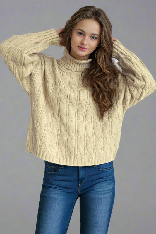 Women’s Turtleneck Solid Color Loose Fit Pullover Sweater